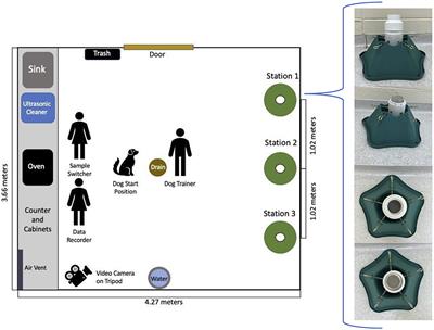 Using Canine Olfaction to Detect Bovine Respiratory Disease: A Pilot Study